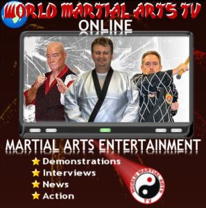 world martial arts tv